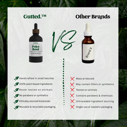 Organic Poke Root Oil –   20ml, 50ml & 100ml   | Wild-Infused Oil for Lymphatic Detox Oil -